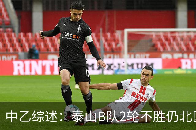 中乙综述：泰山B队2轮不胜仍北区第2，贵阳竞技告负蒲公英战平