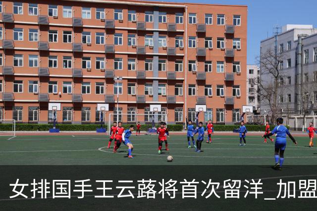 女排国手王云蕗将首次留洋 加盟俄超莫斯科迪纳摩